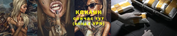 сатива Костерёво