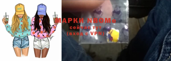 сатива Костерёво