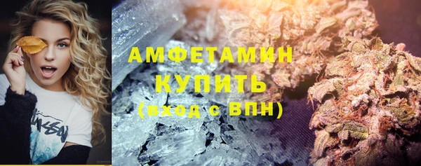 сатива Костерёво