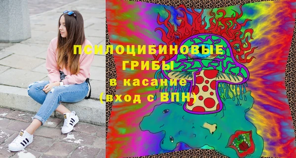 сатива Костерёво