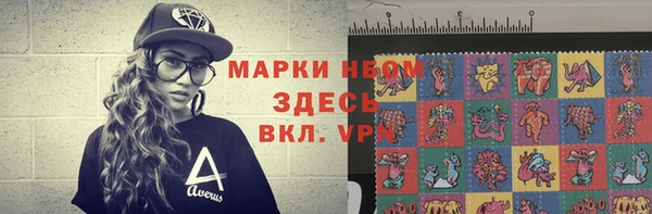 твердый Коряжма