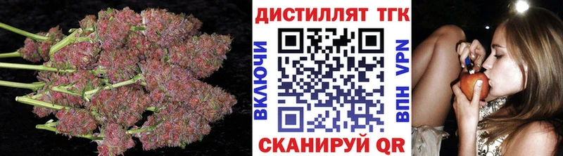 Купить закладки  Аргун  ТГК жижа 
