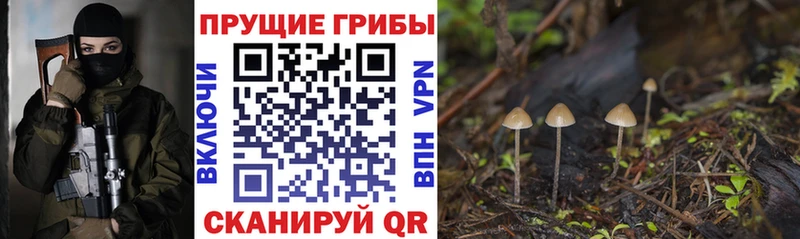 Псилоцибиновые грибы мухоморы  Купить  Аргун 